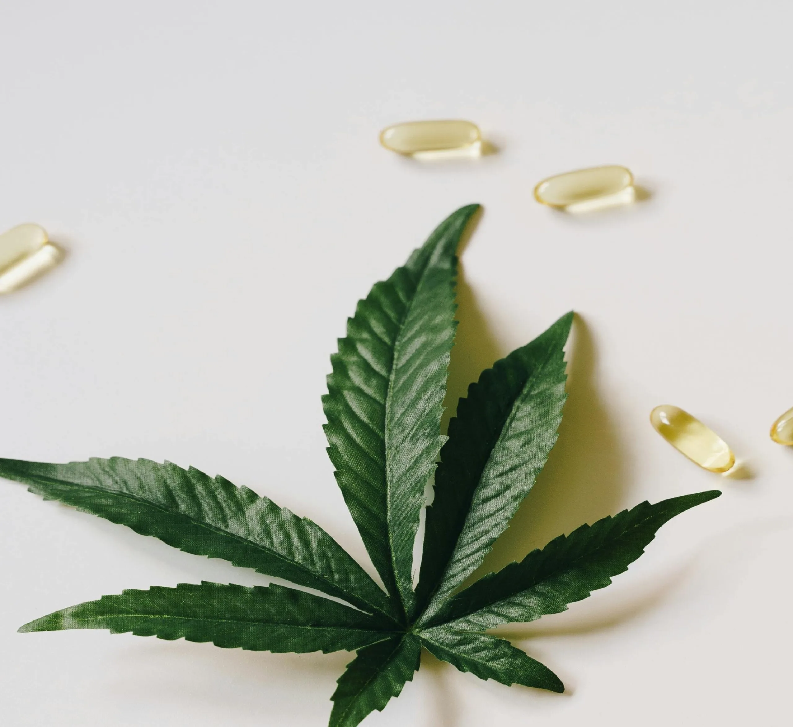 The CBD Power:Cannabidiol’s Proven Benefits for Health,& More Wellness